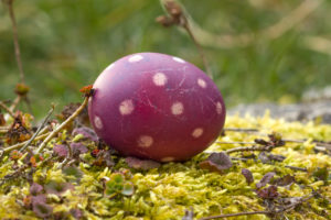 natural-colored Easter egg in the garden natural-colored Easter egg in the garden
